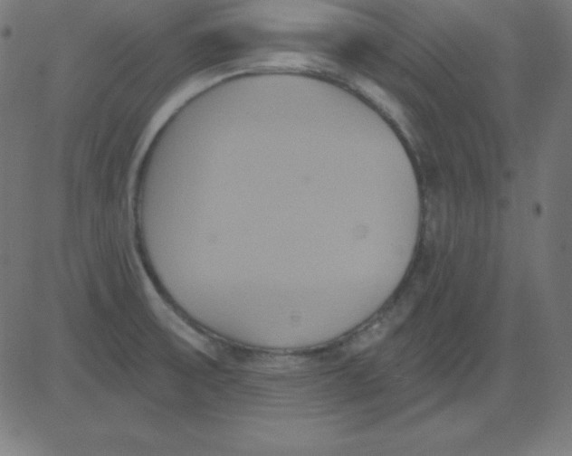 X0000081301475200702012257