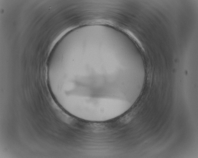 X0000081301476200702012257