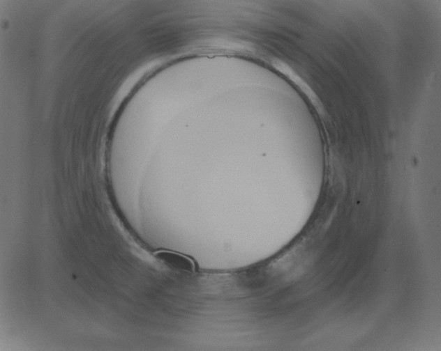 X0000081301477200702012257