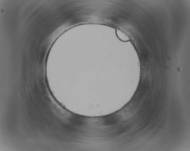 X0000081301479200702012257