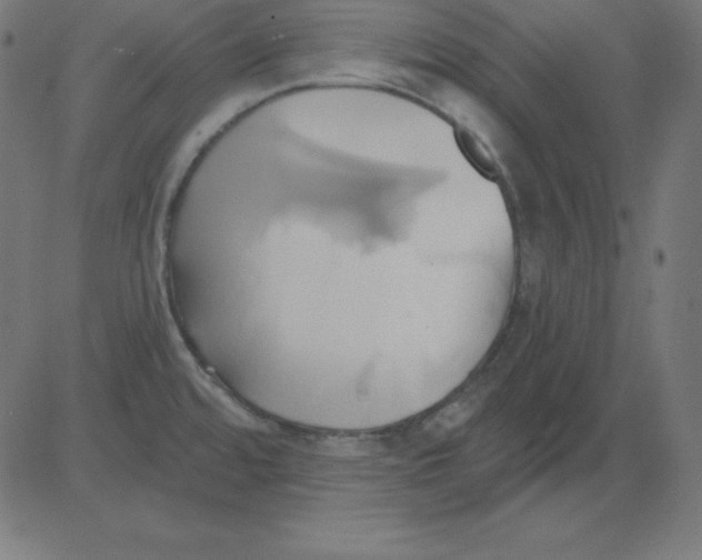 X0000081301480200702012257