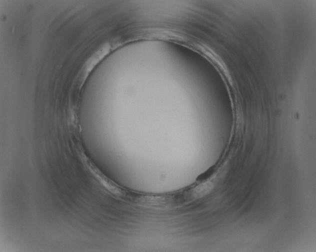 X0000081301481200702012257