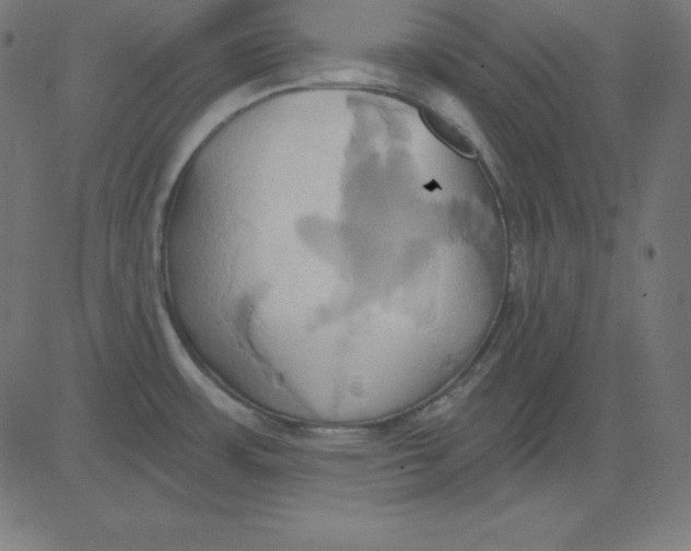 X0000081301483200702012257