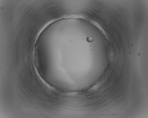 X0000081301484200702012257