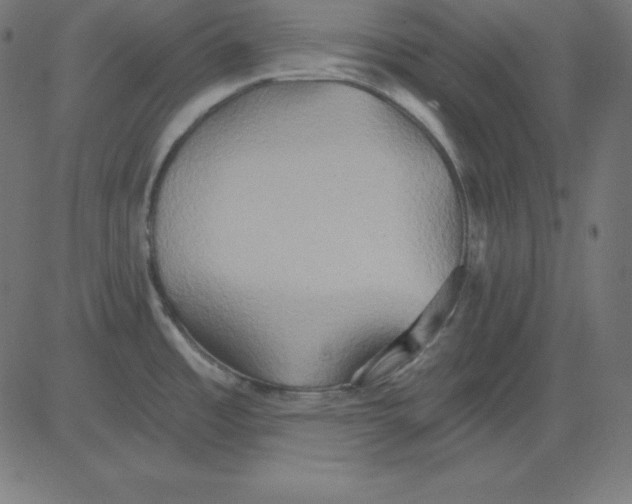 X0000081301485200702012257