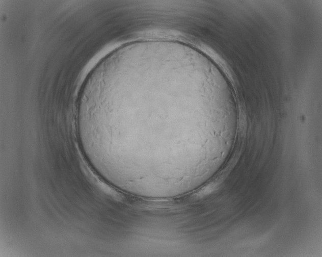 X0000081301486200702012257