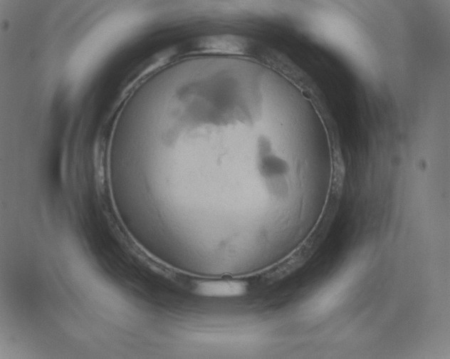 X0000081301487200702012257