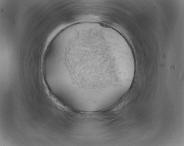 X0000081301488200702012257