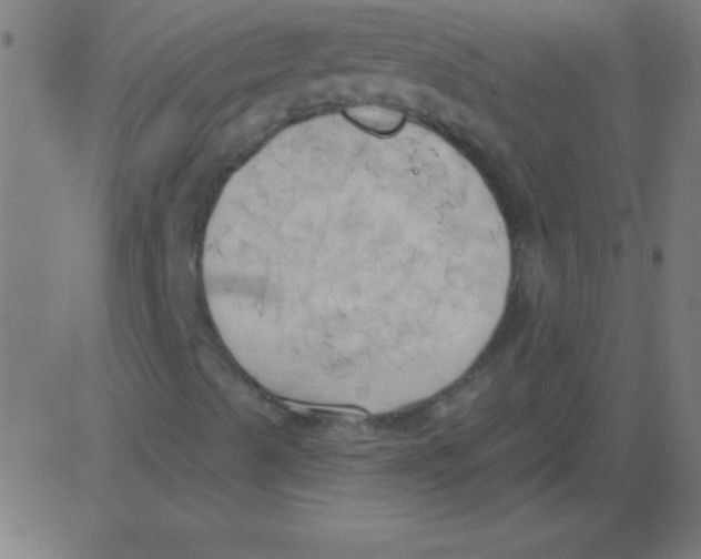 X0000081301489200702012256