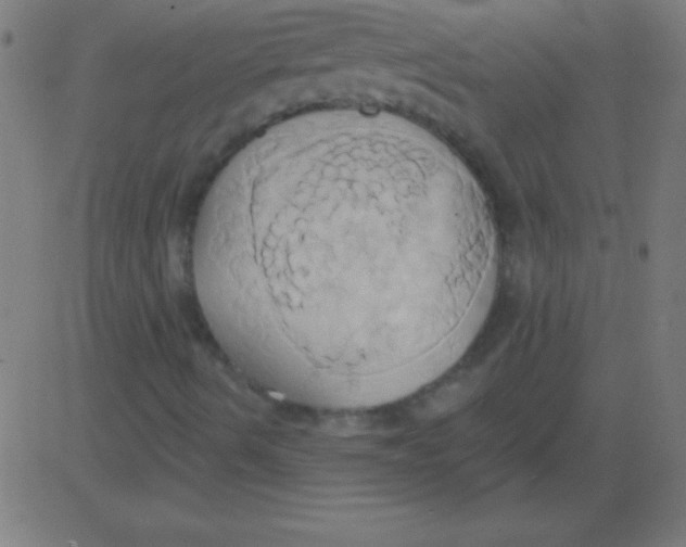 X0000081301490200702012256