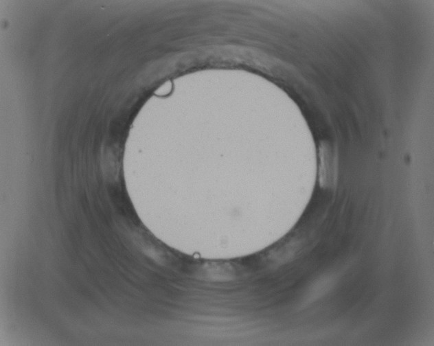 X0000081301491200702012256