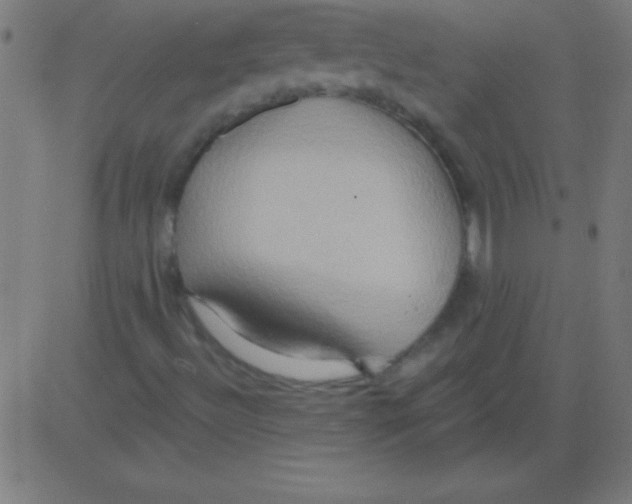 X0000081301492200702012256