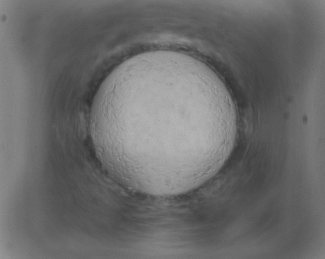 X0000081301493200702012256