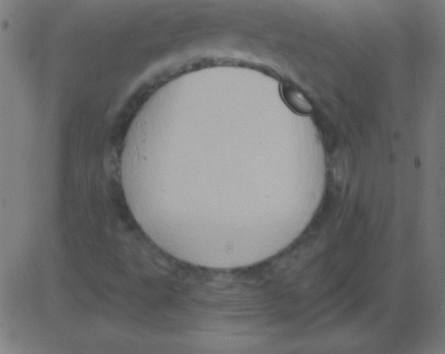 X0000081301495200702012256