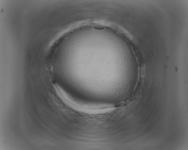 X0000081301496200702012256