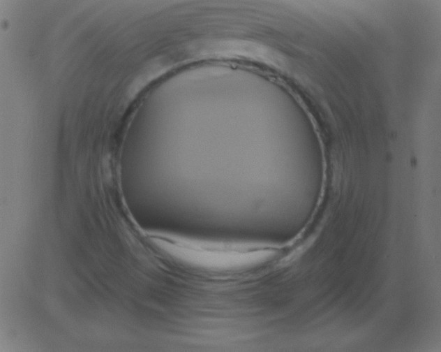 X0000081301497200702012256