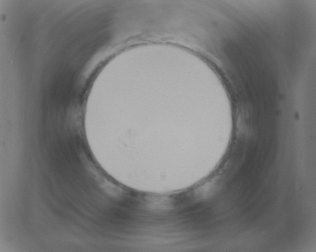 X0000081301498200702012256