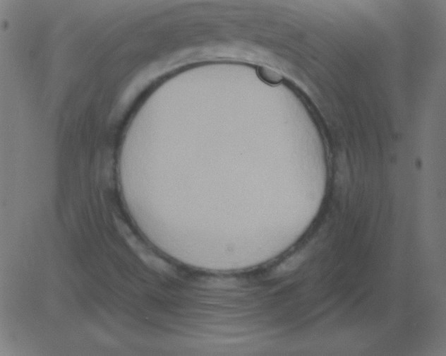 X0000081301499200702012256