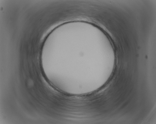 X0000081301500200702012256