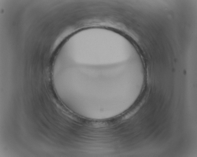 X0000081301501200702012256