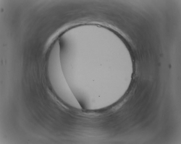 X0000081301502200702012256