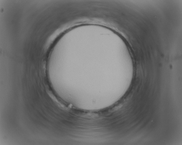 X0000081301503200702012256