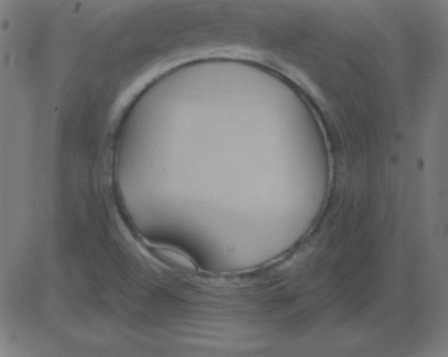 X0000081301504200702012256