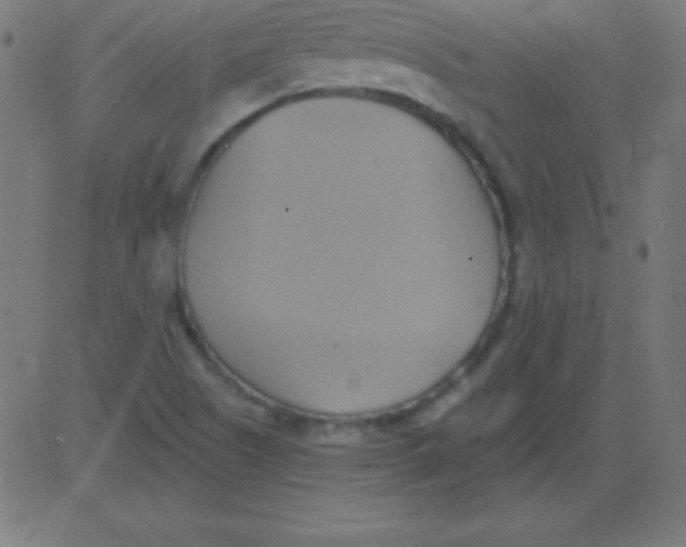 X0000081301505200702012256