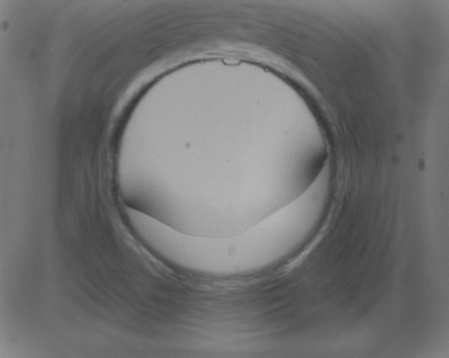 X0000081301506200702012256