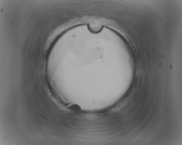 X0000081301507200702012256