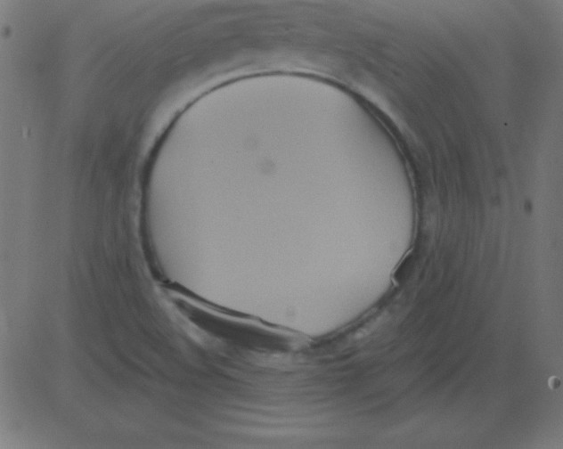 X0000081301508200702012256