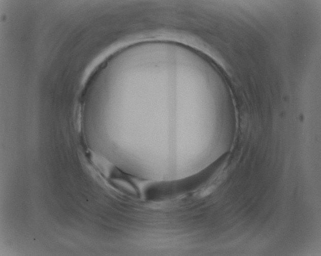 X0000081301510200702012256