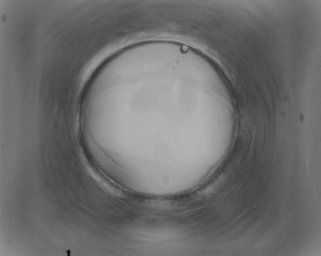 X0000081301511200702012256