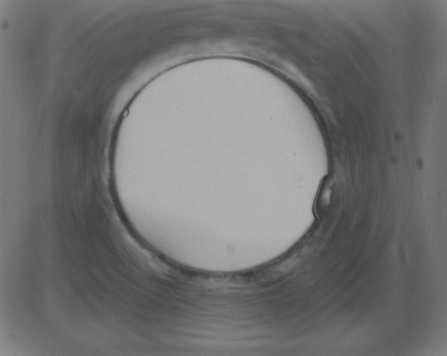 X0000081301512200702012256