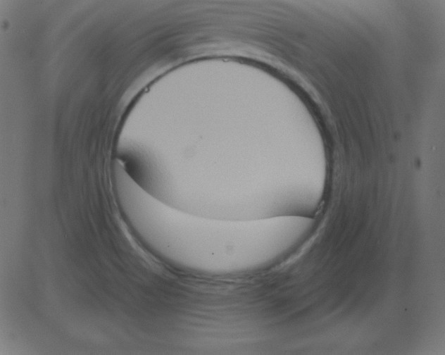 X0000081301513200702012256