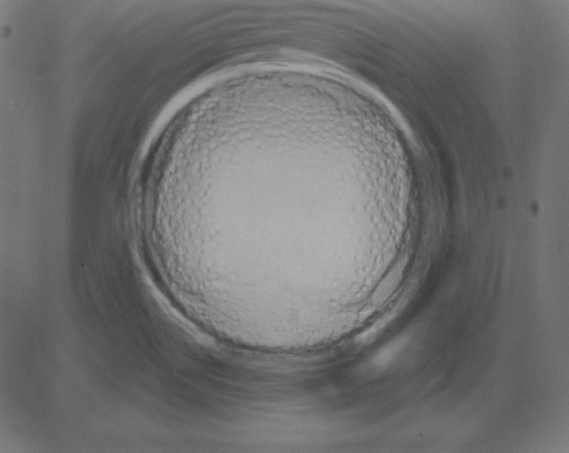 X0000081301514200702012256