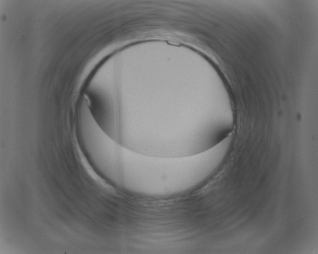 X0000081301515200702012256