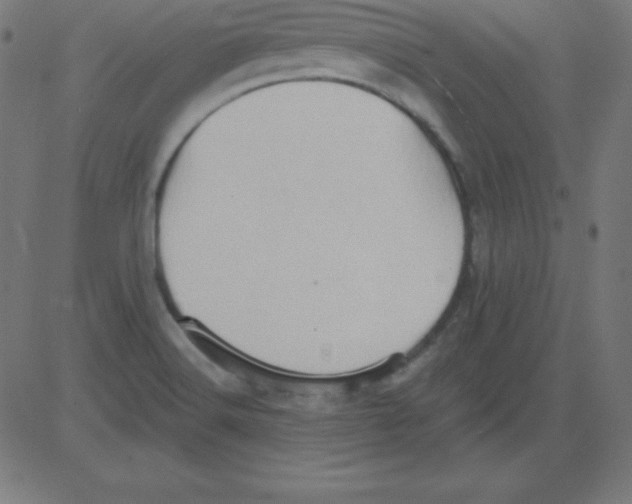 X0000081301516200702012256