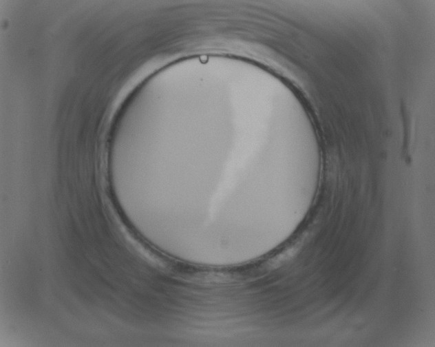 X0000081301517200702012256