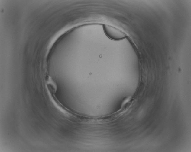 X0000081301519200702012256