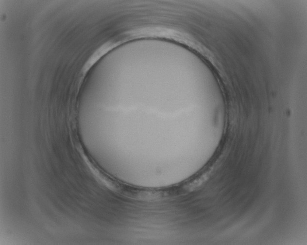 X0000081301521200702012256