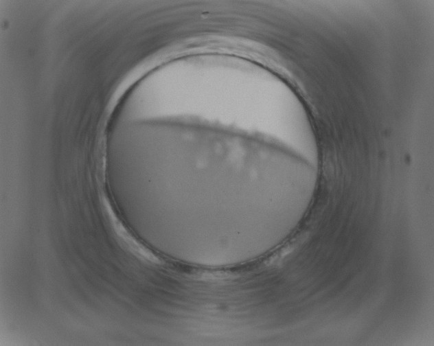 X0000081301522200702012256