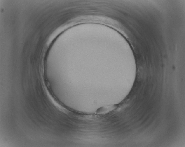 X0000081301523200702012256