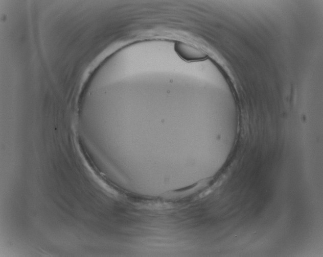 X0000081301525200702012256