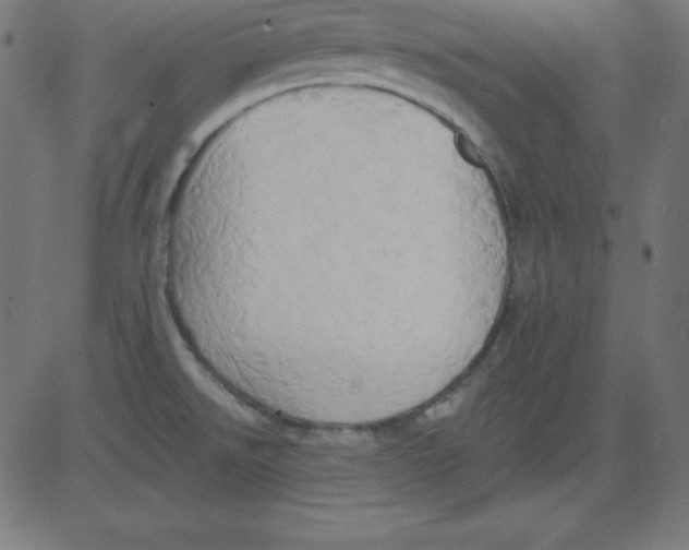 X0000081301526200702012256