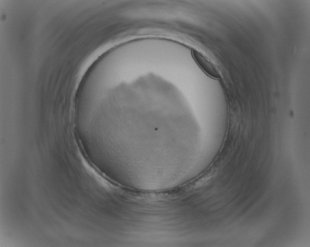 X0000081301527200702012256