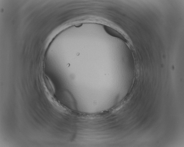 X0000081301530200702012256