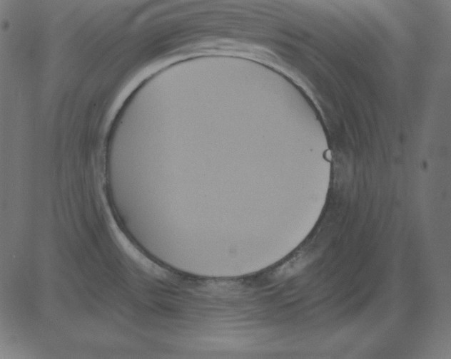 X0000081301531200702012256