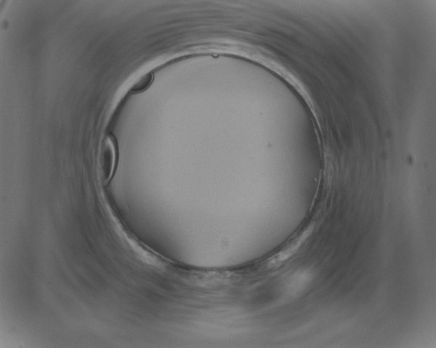 X0000081301533200702012256