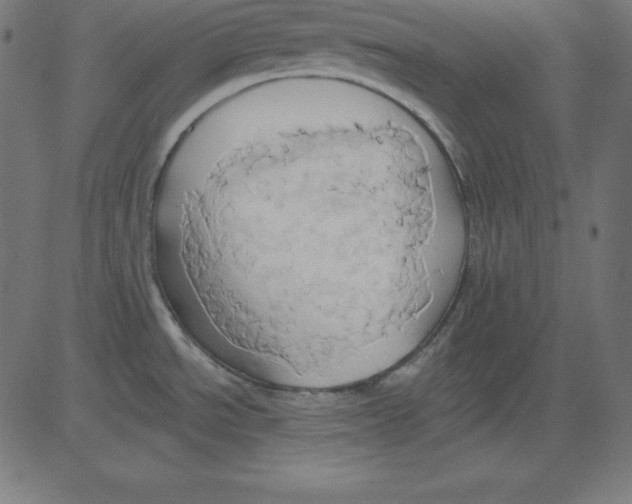 X0000081301534200702012256